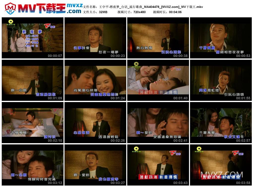 王中平-愁夜梦_台语_流行歌曲_MA404478